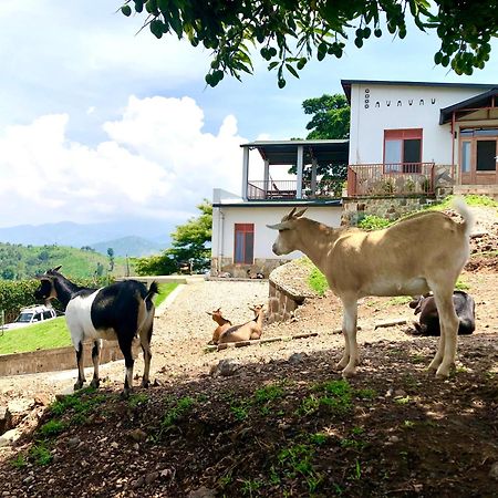 Amazi Land Home And Farm Stay Kibuye Exterior foto